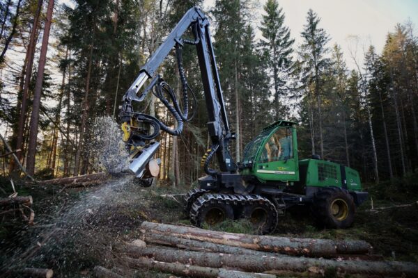 MEŽA ATTĪSTĪBAS FONDA PROJEKTS 2017